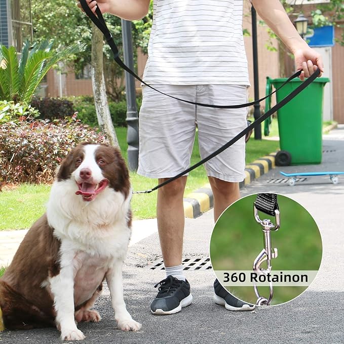 AMAGOOD 6 FT Puppy/Dog Leash, Strong and Durable Traditional Style Leash with Easy to Use Collar Hook, Great for Small, Medium and Large Dogs (1 in x 6 ft(Pack of 1), Black)
