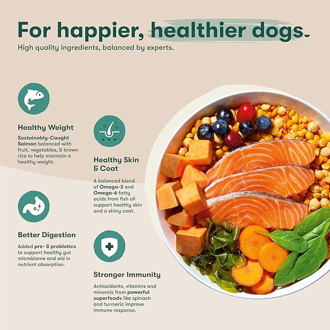 Jinx Premium Grain-Free Dry Dog Food, for All Lifestages - Real Salmon, Sweet Potato & Carrot Kibble with Superfoods for Immune Support & Probiotics for Digestive Support - No Fillers - 30lb