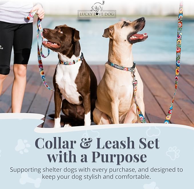 Lucky Love Dog - Easy Click Buckle Dog Collar with Leash Set Combo, Durable & Comfortable for Male & Female Dogs, Pet Collar for Small to Large Dogs, Secure Fit - Blackbird Combo, Large