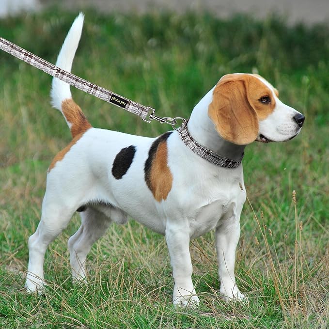 Plutus Pet Cotton Hemp Dog Collar and Leash Set, Adjustable Collar for Small, Medium, and Large Dogs, Heavy Duty and Soft on Skin, Gray Plaid, S