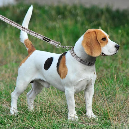 Plutus Pet Cotton Hemp Dog Collar and Leash Set, Adjustable Collar for Small, Medium, and Large Dogs, Heavy Duty and Soft on Skin, Gray Plaid, S