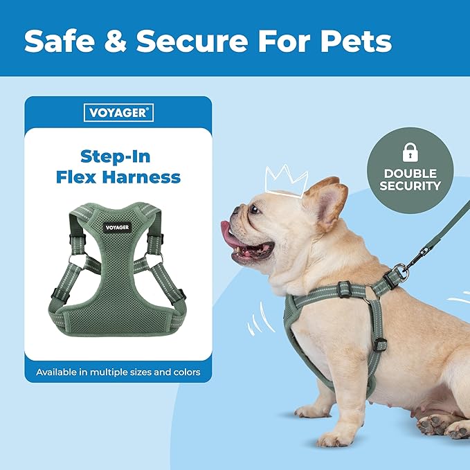 Best Pet Supplies Voyager Mesh Dog Breathable Harness Reflective Stitching, All Weather Adjustable for Walking Training, or Running - Heavy Duty & Durable, Moss Green, S