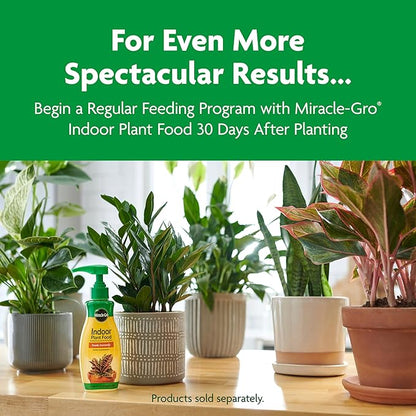 Miracle-Gro Indoor Potting Mix, Blended for a Variety of Houseplants, Feeds for up to 6 Months, 6 qt., 2-Pack