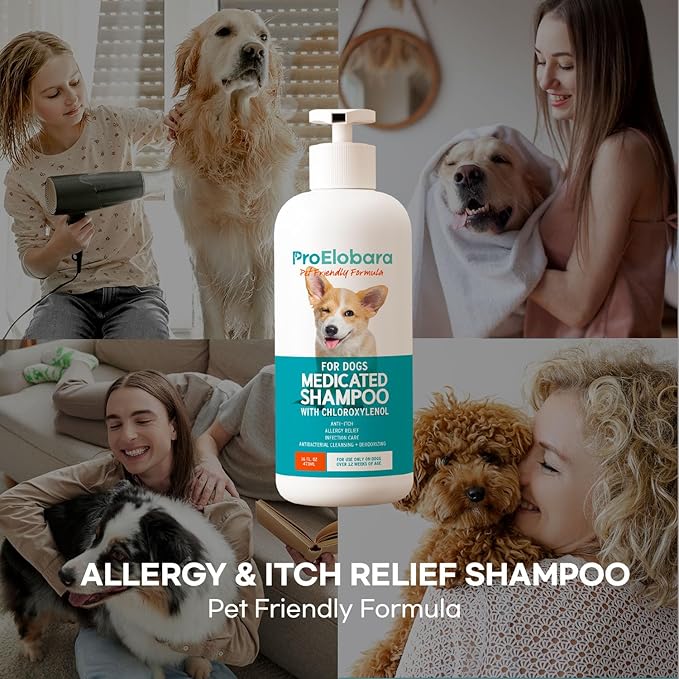 Medicated Dog Shampoo for Itchy Relief: Yeast Skin Infections and Bacterial Treatment for Dogs - Helps Hot Spots, Deodorizing, Allergy Relief - Healthy Skin & Coat - Antifungal Dog Shampoo 16 oz