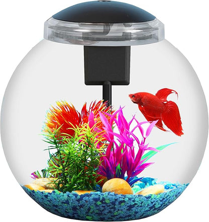 SW PRODUCTS 3-Gallon Aquarium Starter Kit, Ideal for Betta Fish and Other Tropical Fish, Includes Power Filter, LED Light, Hood, and Illustrated User Set Up Guide, Impact-Resistant Plastic
