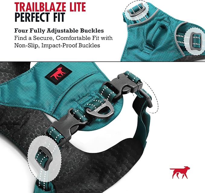 Tuff Pupper All-Day Wear Dog Harness | for Walking, Trail Running, Hiking | Front & Back Leash Clips | Reflective Trim | Easy On/Off Buckles | Lightweight Breathable | No Pull Design (XS, Teal)