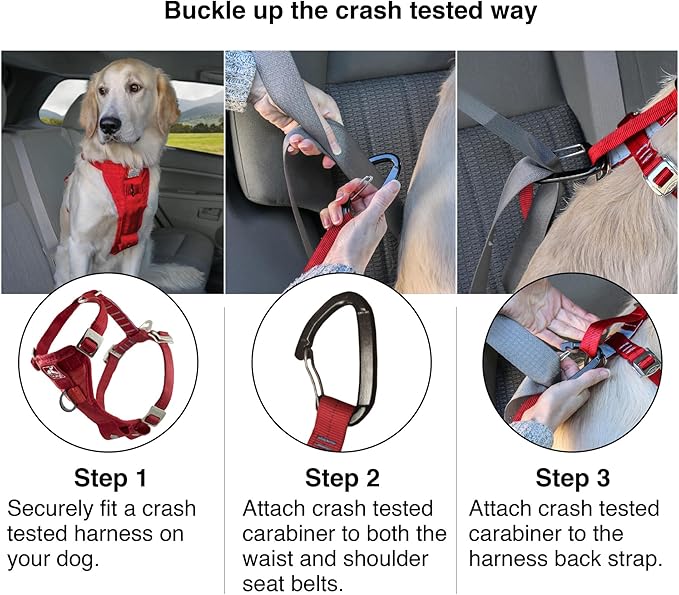 Kurgo Enhanced Strength Tru-Fit Dog Car Harness - Pet Travel Safety Harness - Crash Test Certified Fit - Five Point Adjustment - Secure Buckle - Padded Chest - Charcoal - Small