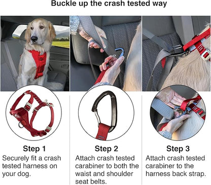 Kurgo Enhanced Strength Tru-Fit Dog Car Harness - Pet Travel Safety Harness - Crash Test Certified Fit - Five Point Adjustment - Secure Buckle - Padded Chest - Charcoal - Small