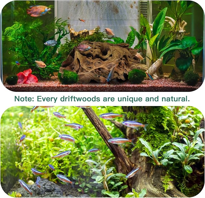 LYPHARD AQUARIUMS Driftwood for Aquarium, 14-18" Extra Large Drift Wood Fish Tank Assorted Branch Decorations Pieces for Reptile Hide