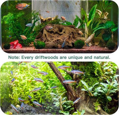 LYPHARD AQUARIUMS Driftwood for Aquarium, 14-18" Extra Large Drift Wood Fish Tank Assorted Branch Decorations Pieces for Reptile Hide