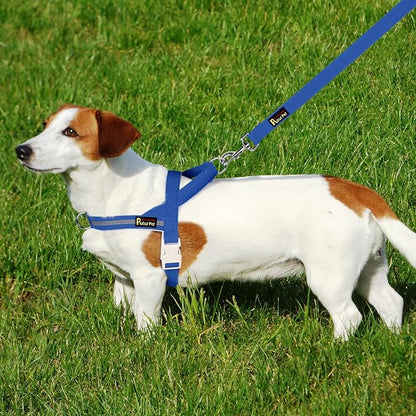 Plutus Pet Cotton Dog Harness and Leash Set, Reflective and Soft Padded, Quick Fit Vest Harness, for Small, Medium and Large Dogs, Royal Blue, L