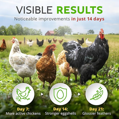 Buff Clucks Herb Supplement for Backyard Chickens - Natural Chicken Treats, Poultry Feed Botanical Mix, Plant-Based Coop Snacks for Daily Wellness, Feather Quality, Egg Production, USA (12 oz)