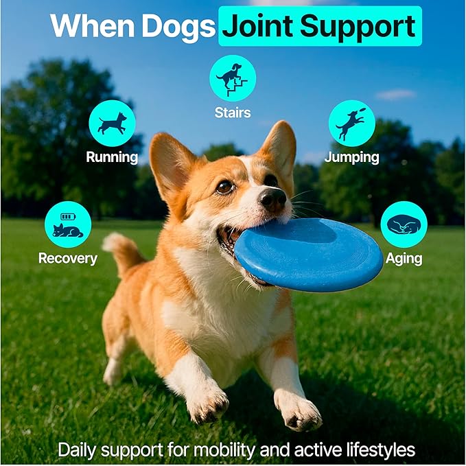 Hip and Joint Supplement for Dogs – Glucosamine for Dogs, Dog Joint Supplement, Mobility, Flexibility & Comfort, Chews with Glucosamine Chondroitin Msm & Omega3, 2 Pack,340 Chews,Made in USA