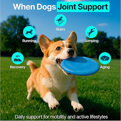 Hip and Joint Supplement for Dogs – Glucosamine for Dogs, Dog Joint Supplement, Mobility, Flexibility & Comfort, Chews with Glucosamine Chondroitin Msm & Omega3, 2 Pack,340 Chews,Made in USA