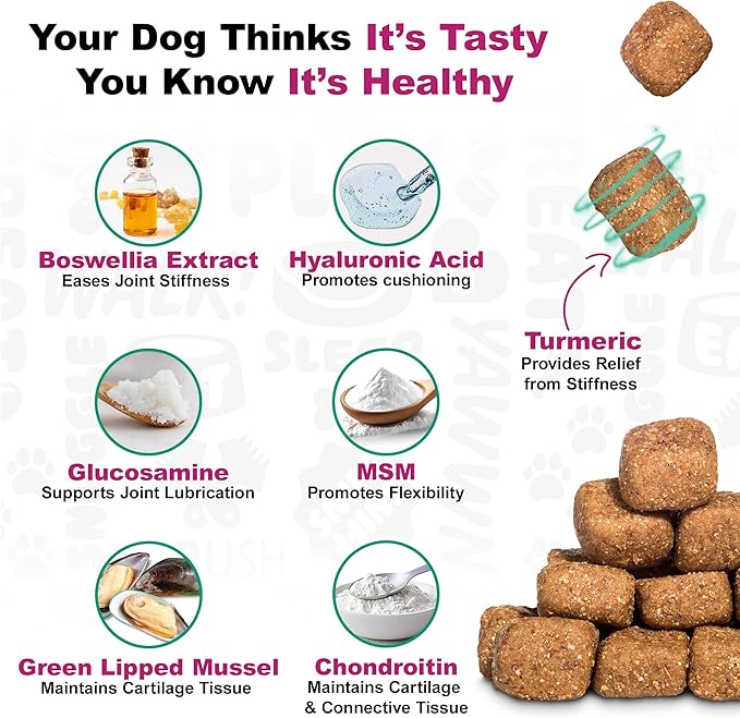 Doggie Dailies, Advanced Senior Hip and Joint Supplement for Dogs, Glucosamine Chondroitin, Premium Hip and Joint Chews for Dogs All Breeds & Sizes, Dog Vitamins and Supplements, (Duck) 120 Chews