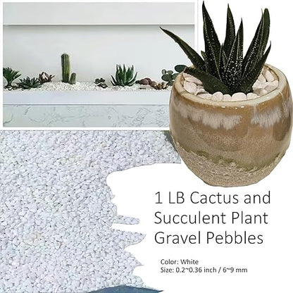 1LB Natural Gravel Pebbles, Cactus and Succulent Plants Pebbles, Small Decorative Polished Stones, White River Rocks for Potted Plants, Vases, Aquariums, Terrarium and Outdoor Gardening