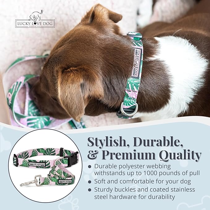 Lucky Love Dog, Tropical Matching Dog Collar & Leash Set, Soft & Comfy, Vivid Pink Color Collar and Leash for Female Male Dogs - (Large, Laguna Combo)