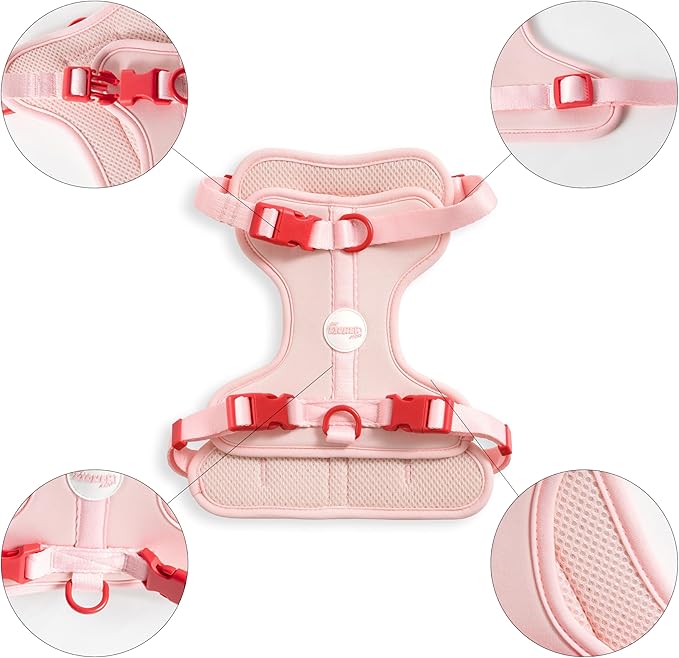 HNS1002G Arlo Medium Adjustable Soft Padded No Pull Pet Harness with 3 Buckles and 3 Leash Clips, Paloma