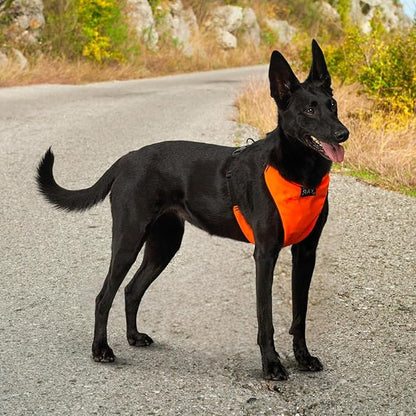 YAP Techno® No Pull Dog Harness, 4-Way Adjustable, Temperature Controlled Pet Vest Harness, Chokefree Dog Harness with Easy Control Handle for All Breeds; 30-55 lbs (Signal Orange, Medium-Wide)