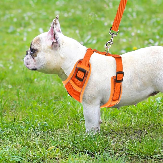 PUPTECK Small Dog Harness and Leash Set, No Pull Adjustable Puppy Cat Harness, Reflective Soft Mesh Pet Vest Small Sized