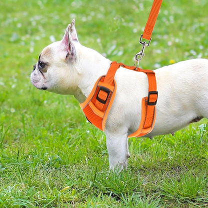 PUPTECK Small Dog Harness and Leash Set, No Pull Adjustable Puppy Cat Harness, Reflective Soft Mesh Pet Vest Small Sized