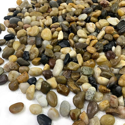 2 lbs Aquarium Gravel, 2/5 inch Pea Gravel for Fish Tank, Decorative Pebbles River Rocks for Plants Succulent Vase Indoor Water Fountains and Outdoor Landscaping
