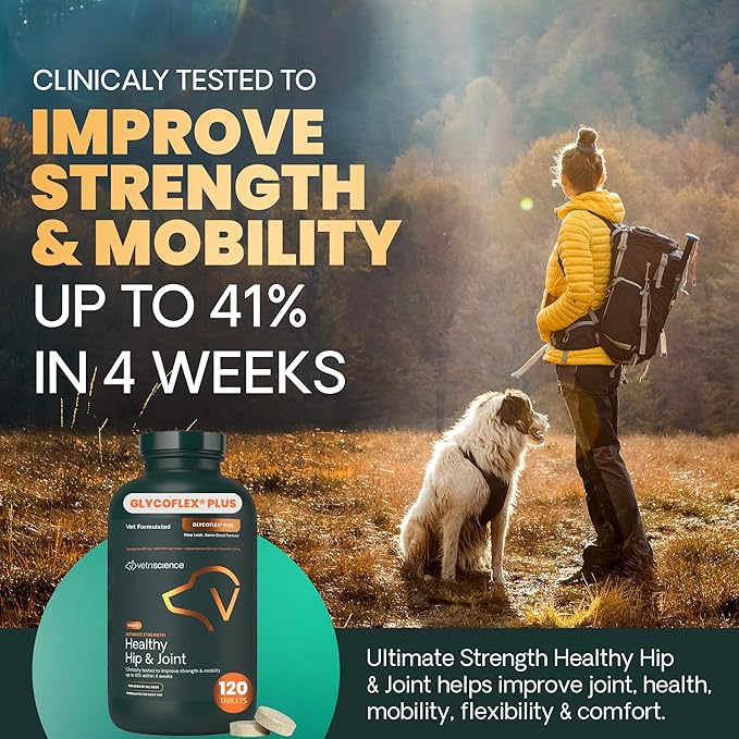 VetriScience Ultimate Strength Healthy Hip & Joint Chewable Tablets, GlycoFlex Glucosamine, Chondroitin and Green-Lipped Mussel Joint Supplement for Dogs, Soothe Joint Discomfort, Chicken, 120 Count