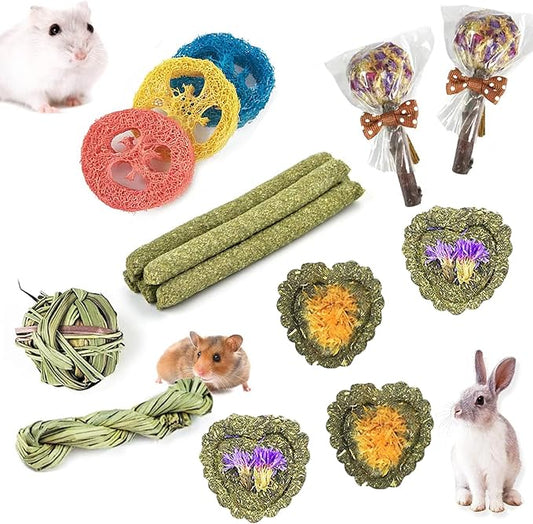 FIPASEN Rabbit Chew Toys for Teeth, 16PCS Natural Timothy Hay Chew Toy, Improve Dental Health for Bunny/Chinchilla/Guinea Pig/Hamsters/Holland Lop, Small Rodent Pet Molar Teeth Treats Toys