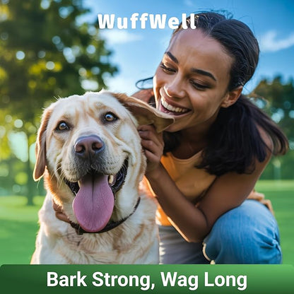 WuffWell Super Greens Powder for Dogs – Spirulina, Chlorella, Moringa, Glucosamine & Turmeric – Joint, Immune & Skin Support – Beef Flavor – Natural Dog Supplements – Vet Approved – Made in USA