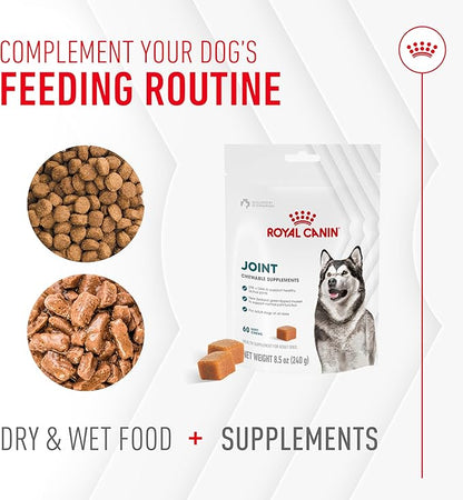 Royal Canin Joint Dog Supplement Soft Chews for Adult Dogs, 60 Count (Pack of 3)