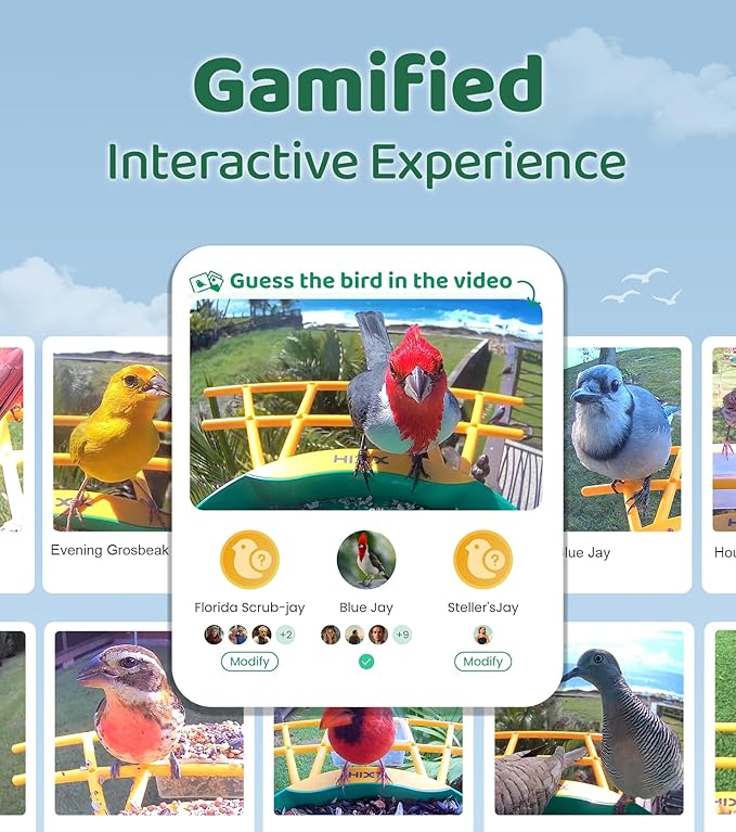 HIXX Smart Bird Feeder with Camera, AI Identify Birds & Auto Capture, 2K HD Live Camera Birdwatching with Color Night Vision for Bird Lovers Gifts (Green)