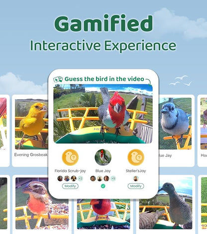 HIXX Smart Bird Feeder with Camera, AI Identify Birds & Auto Capture, 2K HD Live Camera Birdwatching with Color Night Vision for Bird Lovers Gifts (Green)