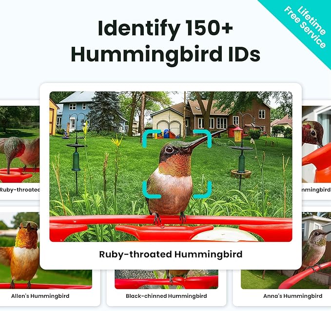 Birdfy Hummingbird Feeder with Dual Cameras - 2K HD Smart Cameras Solar Powered, Close-Up Bird Video/Live Watching & Instant Notifications, Ant Moat & Leakproof - 20oz (AI Lifetime)