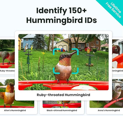 Birdfy Hummingbird Feeder with Dual Cameras - 2K HD Smart Cameras Solar Powered, Close-Up Bird Video/Live Watching & Instant Notifications, Ant Moat & Leakproof - 20oz (AI Lifetime)