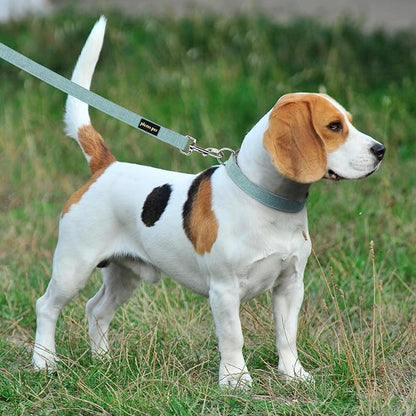 Plutus Pet Cotton Hemp Dog Collar and Leash Set, Adjustable Collar for Small, Medium, and Large Dogs, Heavy Duty and Soft on Skin, Light Blue, XL