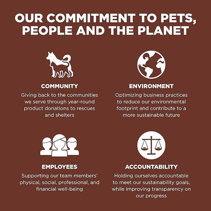 Go! Solutions Skin + Coat Care, Dry Dog Food, Large Breed Puppy Salmon Recipe with Grains, 12 lb Bag