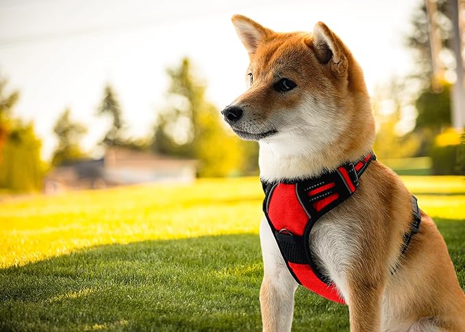 Ziggy Pet Dog Harness Adjustable Nylon Mesh Vest with Leash Clips (Red, Medium)