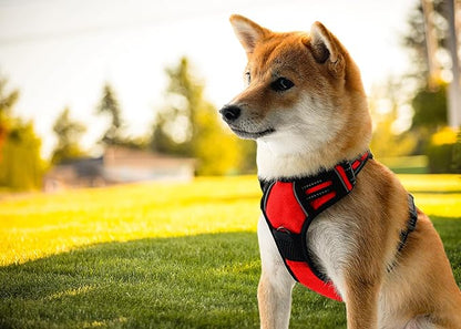 Ziggy Pet Dog Harness Adjustable Nylon Mesh Vest with Leash Clips (Red, Medium)