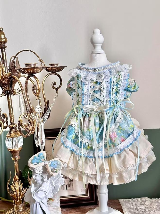 Fashion Sweet Puppy Dog Lace Princess Dress for EXTRAL Small and Small Dog B-Blue X-Small
