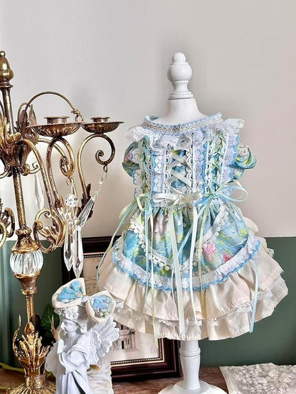 Fashion Sweet Puppy Dog Lace Princess Dress for EXTRAL Small and Small Dog B-Blue X-Small