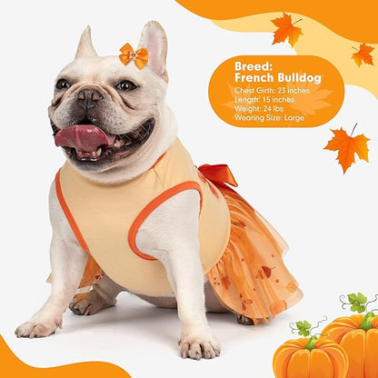 cyeollo Thanksgiving Day Dog Dress Turkey Small Dog Clothes Tulle Holiday Outfit Pet Dresses for Medium Large Dogs Girl, Size 2XL