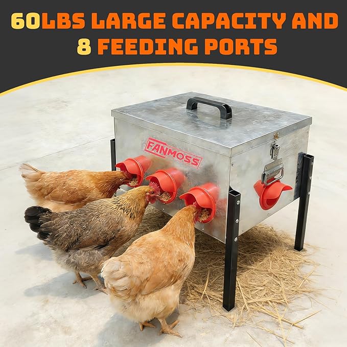 Automatic Chicken Feeder 60lb Large Metal Poultry Feeding Equipment, 8 No-Waste Ports with Locking Lid, Coops Runs, Backyard Chicken Keepers and Homesteaders