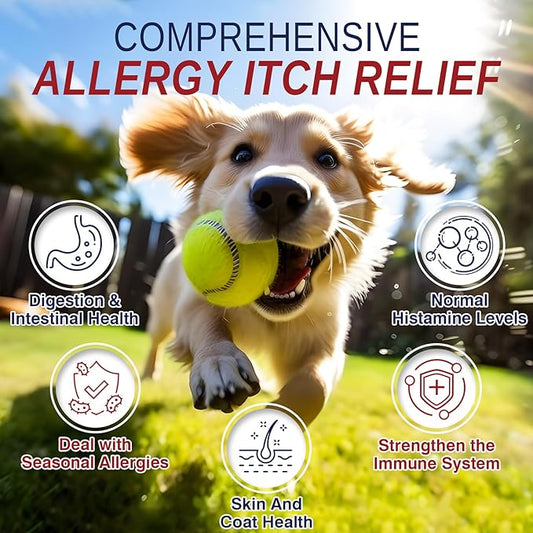 Dog Allergy Chews 200 Treats, Dog Allergy and Itching Skin Relief Bites Immune Support Dogs Probiotics for Yeast, Itchy Skin and Itchy Ears Anti Itch Licking Paws Treatment for Dogs Seasonal Allergies