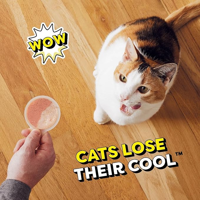 Temptations Lickable Spoons Adult Wet Cat Treat, Savory Salmon and Tempting Tuna Flavor, 8 Spoons, Pack of 12 (96 Total)