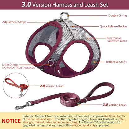 AIITLE Dog Harness, Summer No-Pull Cat Harness with a Leash, Adjustable Reflective Dog Vest, Cat Harness Escape Proof, Outdoor Walking, Camping for Extra Small Dogs and House Cats Burgundy XXXS