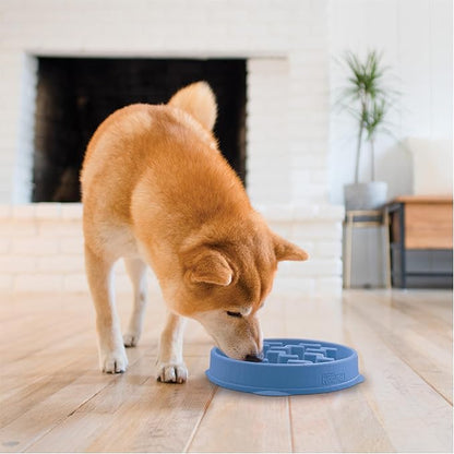 Outward Hound Medium Slow Feeder Bowl, Puzzle Maze for Fast Eaters, Small to Medium Dogs, Helps Prevent Bloat & Aid Digestion, Holds 2 Cups Wet or Dry Food, Non-Slip, Made Without BPA, Blue