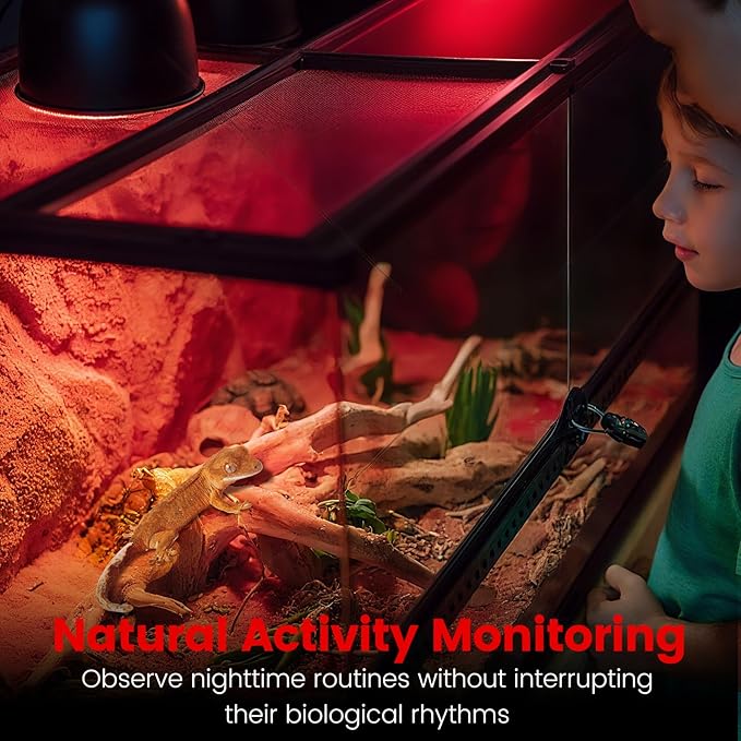 Dual Reptile Lamp Fixture with 100W Daytime Heat & 100W Nighttime Infrared Heat Bulbs, 2 Independent Switches, Reptile Heat Lamp Combo Pack - No UVB