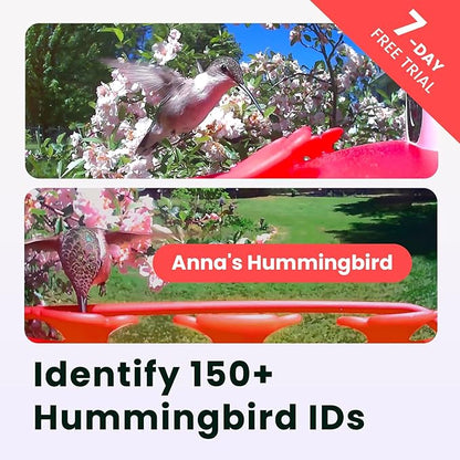 Birdfy Hummingbird Feeder with Dual Cameras - 2K HD Smart Cameras Solar Powered, Close-Up Bird Video/Live Watching & Instant Notifications, Ant Moat & Leakproof - 20oz