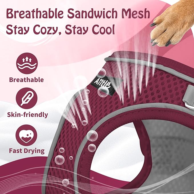AIITLE Dog Harness, Summer No-Pull Cat Harness with a Leash, Adjustable Reflective Dog Vest, Cat Harness Escape Proof, Outdoor Walking, Camping for Extra Small Dogs and House Cats Burgundy XXXS