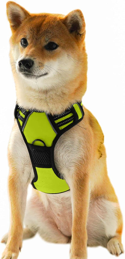 Ziggy Pet Dog Harness Adjustable Nylon Mesh Vest with Leash Clips (Green, Large)